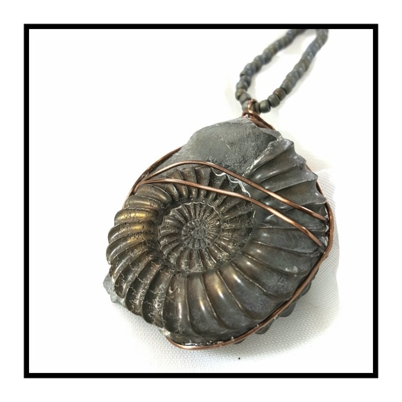 Artisan - Fossilized Pyrite Ammonite Necklace - Picture 6 of 8